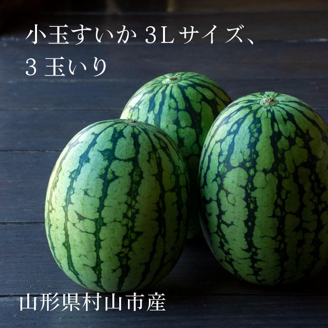 【ふるさと納税】先行予約 小玉 すいか スイカ 3L×3玉 令和6年産 2024年産 ひとりじめ 果物 送料無料