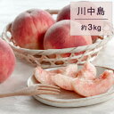 【ふるさと納税】もも(川中島)3kg