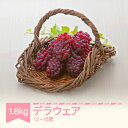 【ふるさと納税】【先行予約】 デラウェア 約1.8kg 令和7年産 2025年産 果物 葡萄 ぶどう 送料無料 ※沖縄・離島への配送不可 mm-budwx180...