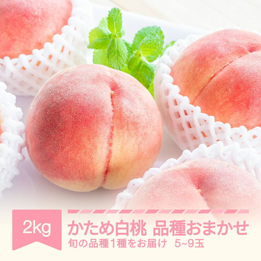【ふるさと納税】先行予約 かため白桃おまかせ もも 桃 品種おまかせ 約2kg 令和7年産 2025年産 果物 送料無料 ※沖縄・離島への配送不可 mm-mokox2000