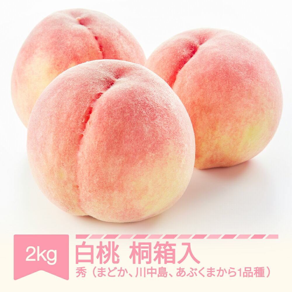 [先行予約]白桃 秀 桐箱入 もも 桃 品種おまかせ 約2kg 令和8年産 2026年産 果物 ※沖縄・離島への配送不可 mm-moomk2000