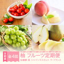 【ふるさと納税】【先行予約】 柚 フルーツ 定期便 全4回 2025年産秋始まり さくらんぼ 佐藤錦 もも 白桃 ぶどう シャインマスカット ラ・フランス 果物 山形県産 送料無料 ※沖縄・離島への配送不可 mm-ft4yz