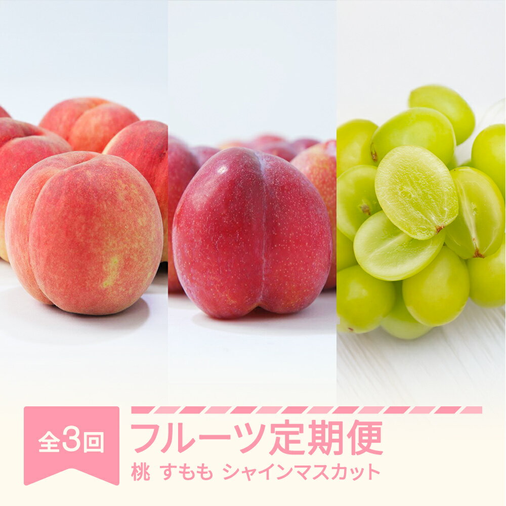 [先行予約]フルーツ定期便 全3回 白桃 すもも シャインマスカット 秀品 2025年産 令和7年産 送料無料 ※沖縄・離島への配送不可 sb-fthps3