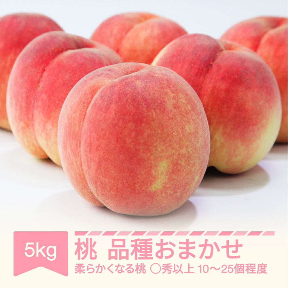 [先行予約] 白桃 品種おまかせ ◯秀品以上 5kg 令和7年産 2025年産 ※沖縄・離島への配送不可 sb-mohts5