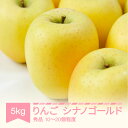 【ふるさと納税】【先行予約】 シナノゴールド 秀品 5kg りんご 令和7年産 2025年産 果物 送料無料 ※沖縄・離島への配送不可 sb-risgx5