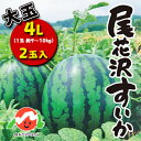 【ふるさと納税】先行予約 大玉 すいか スイカ 4L×2玉入り 令和三年産 2021年産 尾花沢すいか 果物 送料無料