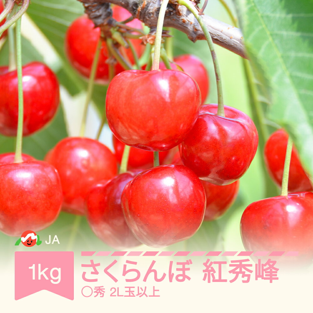 先行予約 さくらんぼ 紅秀峰 2024年産 令和6年産 1kgバラ 〇秀2L玉以上 送料無料 サクランボ