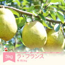 【ふるさと納税】先行予約 ラ・フランス 洋梨 ラフランス 秀 約3kg 2025年産 令和7年産 果物 山形県産 送料無料 ja-lasyx3
