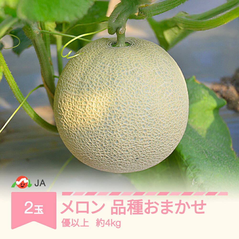 [先行予約]温室メロン 品種おまかせ 令和8年産 2026年産 2玉 優以上 約4kg 果物 村山市産 送料無料 ja-meoxx4 ※沖縄・離島への配送不可