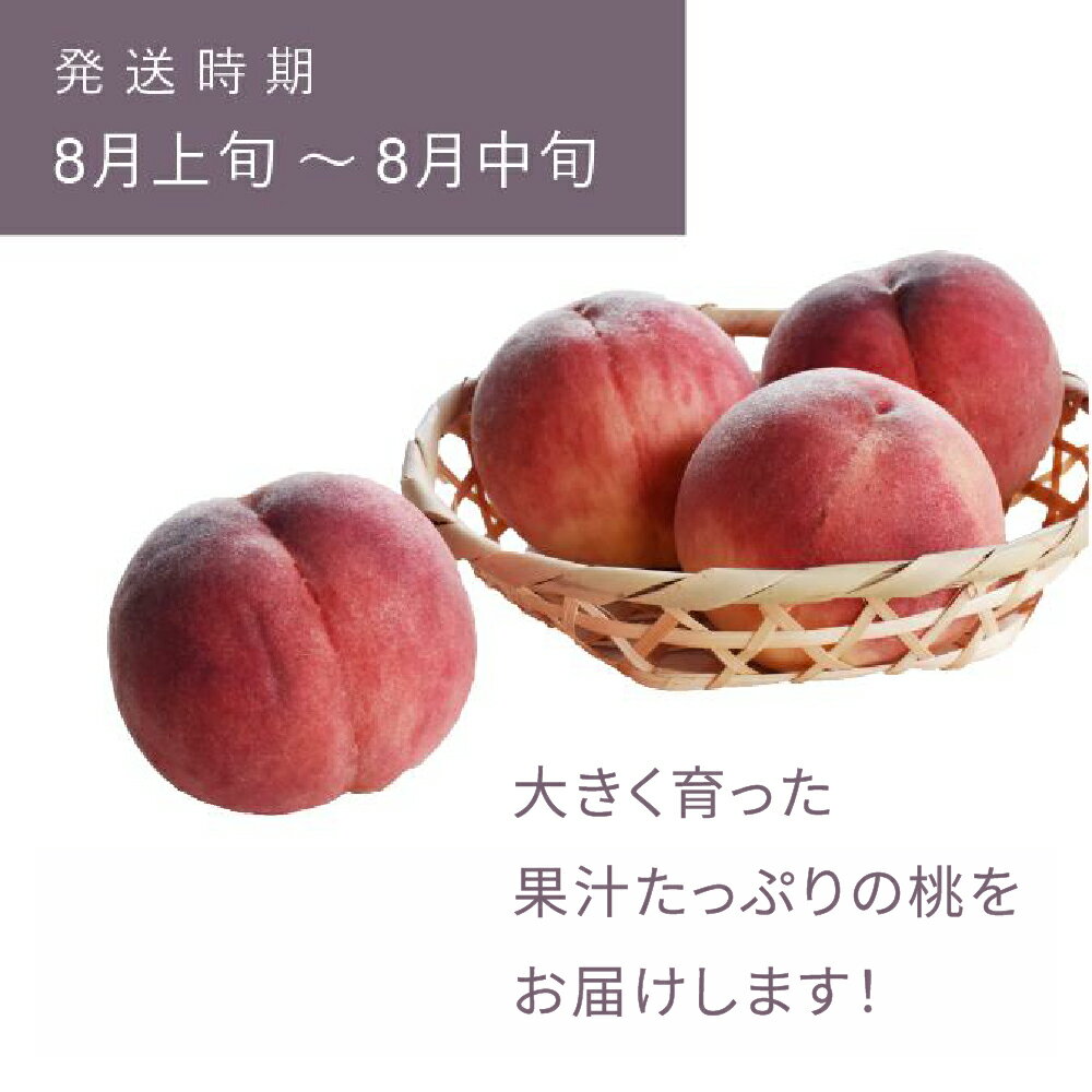 【ふるさと納税】もも 桃 あかつき 約5kg 令和6年産 2024年産 果物 送料無料