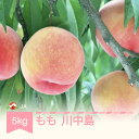 【ふるさと納税】【先行予約】 もも 桃 川中島 約5kg 令和8年産 2026年産 果物 送料無料 ※沖縄・離島への配送不可