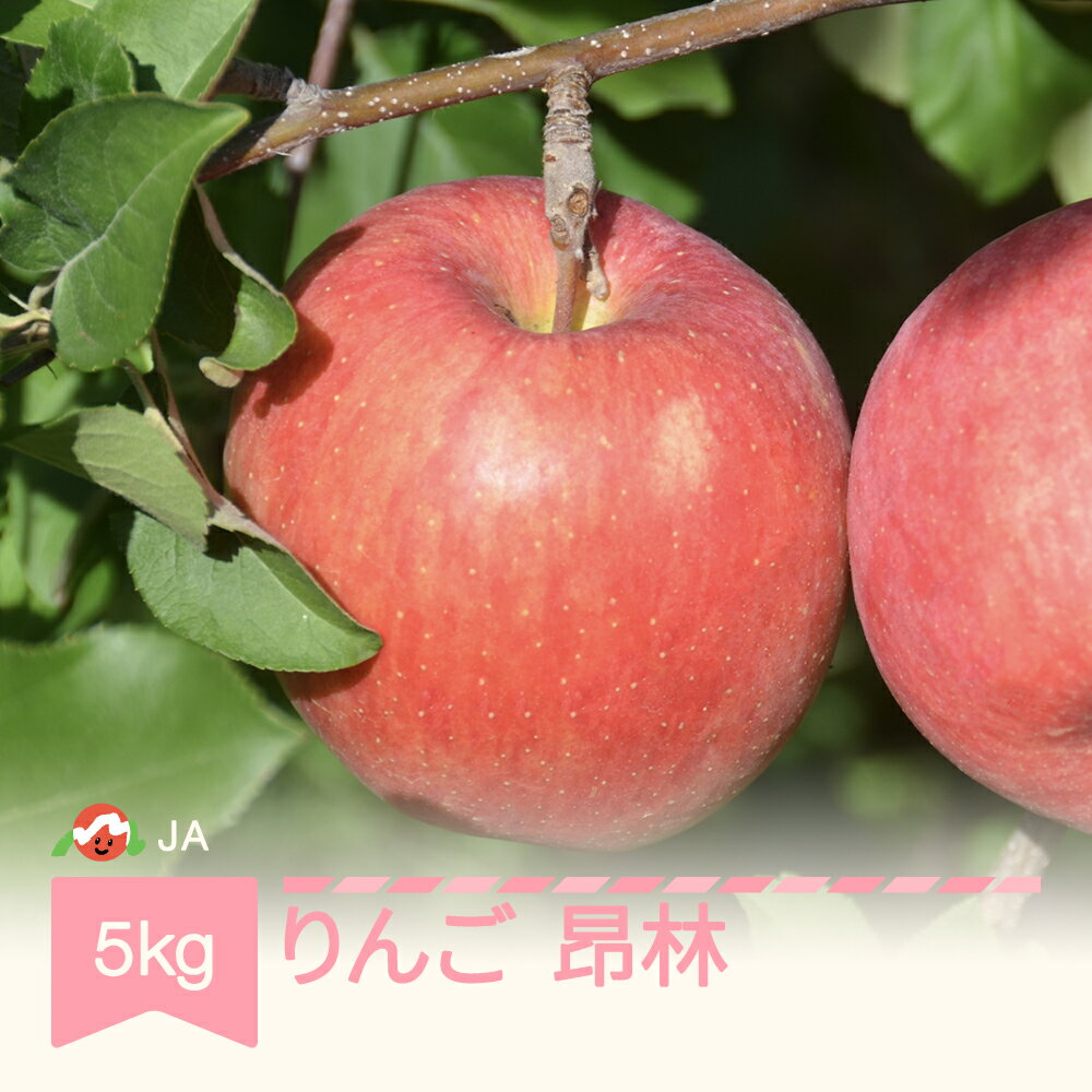 【ふるさと納税】りんご 昂林 約5kg 秀 令和6年産 20