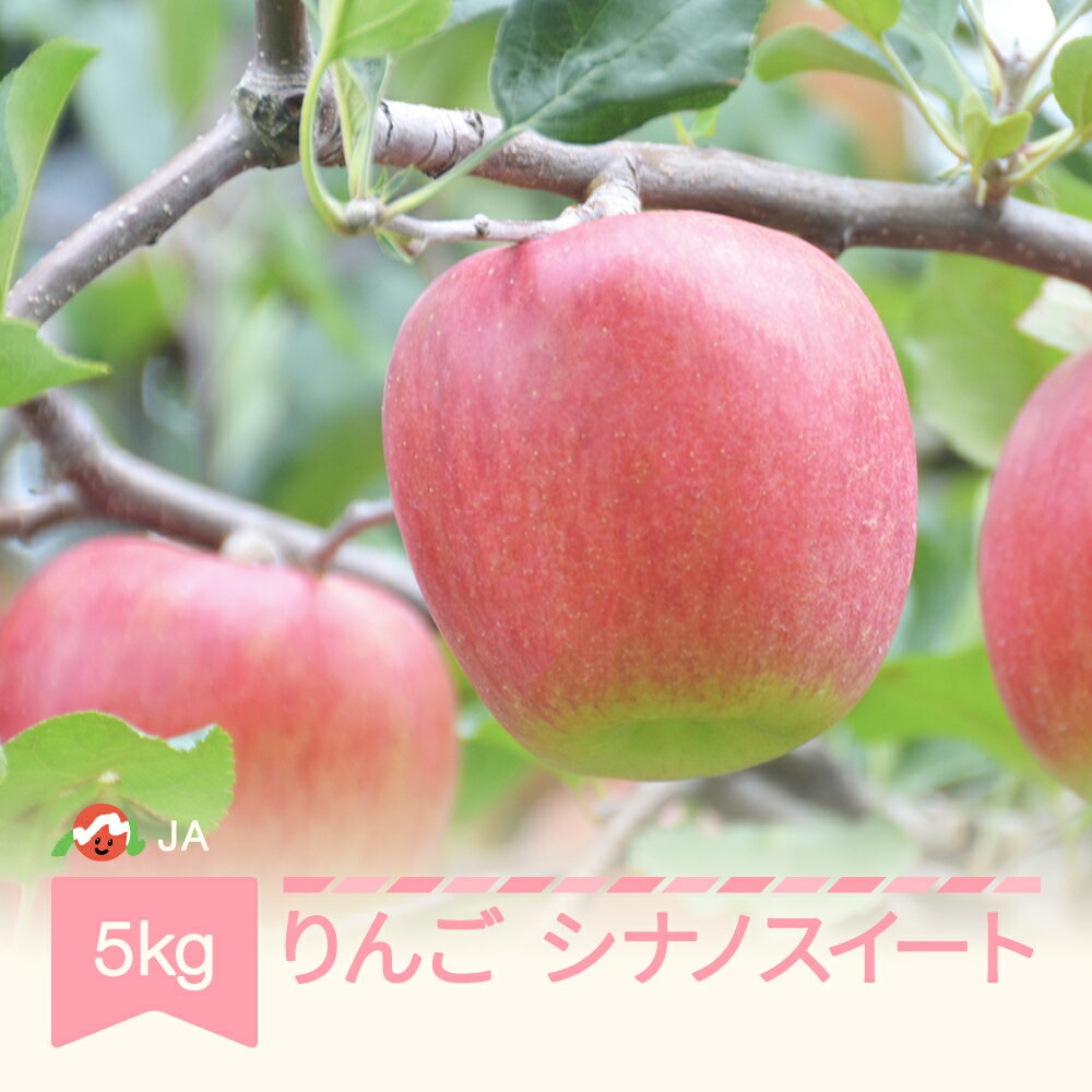 りんご シナノスイート 約5kg 秀 令和6年産 2024年産 果物 送料無料