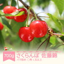 【ふるさと納税】先行予約 さくらんぼ 佐藤錦 ○秀L玉以上 700gバラ 2025年産 令和7年産 果物 果樹 フルーツ 送料無料