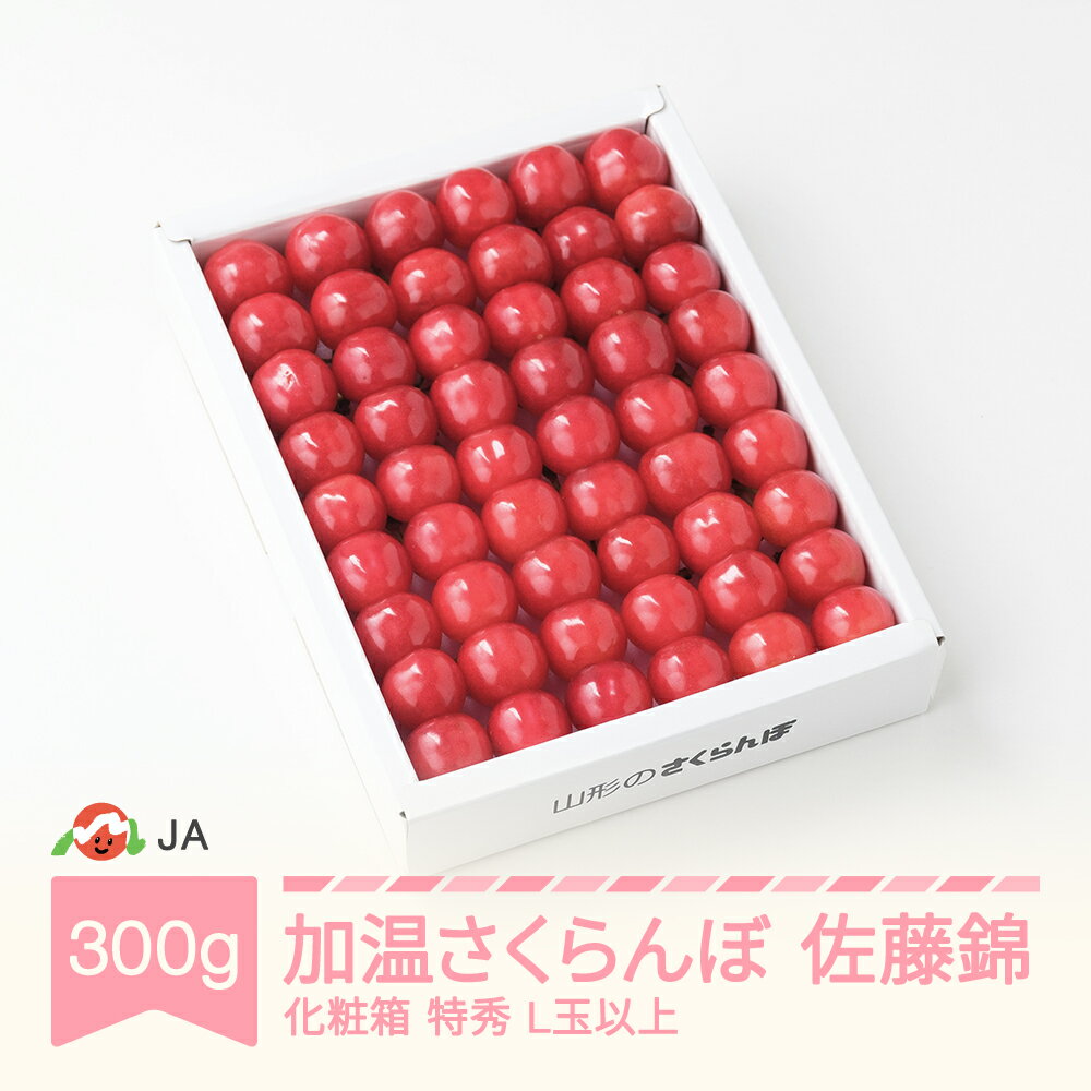 【ふるさと納税】【先行予約】 加温ハウス さくらんぼ 佐藤錦 2026年産 令和8年産 300g 化粧箱 特秀L玉以上 早出し 送料無料 サクランボ