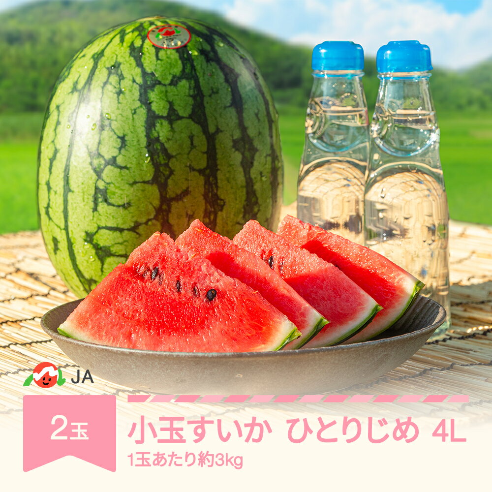 【ふるさと納税】先行予約 小玉 すいか スイカ 4L×2玉入り 令和6年産 2024年産 ひとりじめ 果物 送料無料