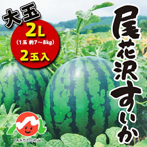 【ふるさと納税】先行予約 大玉 すいか スイカ 2L×2玉入り 令和三年産 2021年産 尾花沢すいか 果物 送料無料