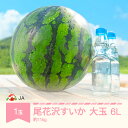 【ふるさと納税】先行予約 大玉 すいか スイカ 6L×1玉入り 令和6年産 2024年産 尾花沢すいか 果物 送料無料 その1