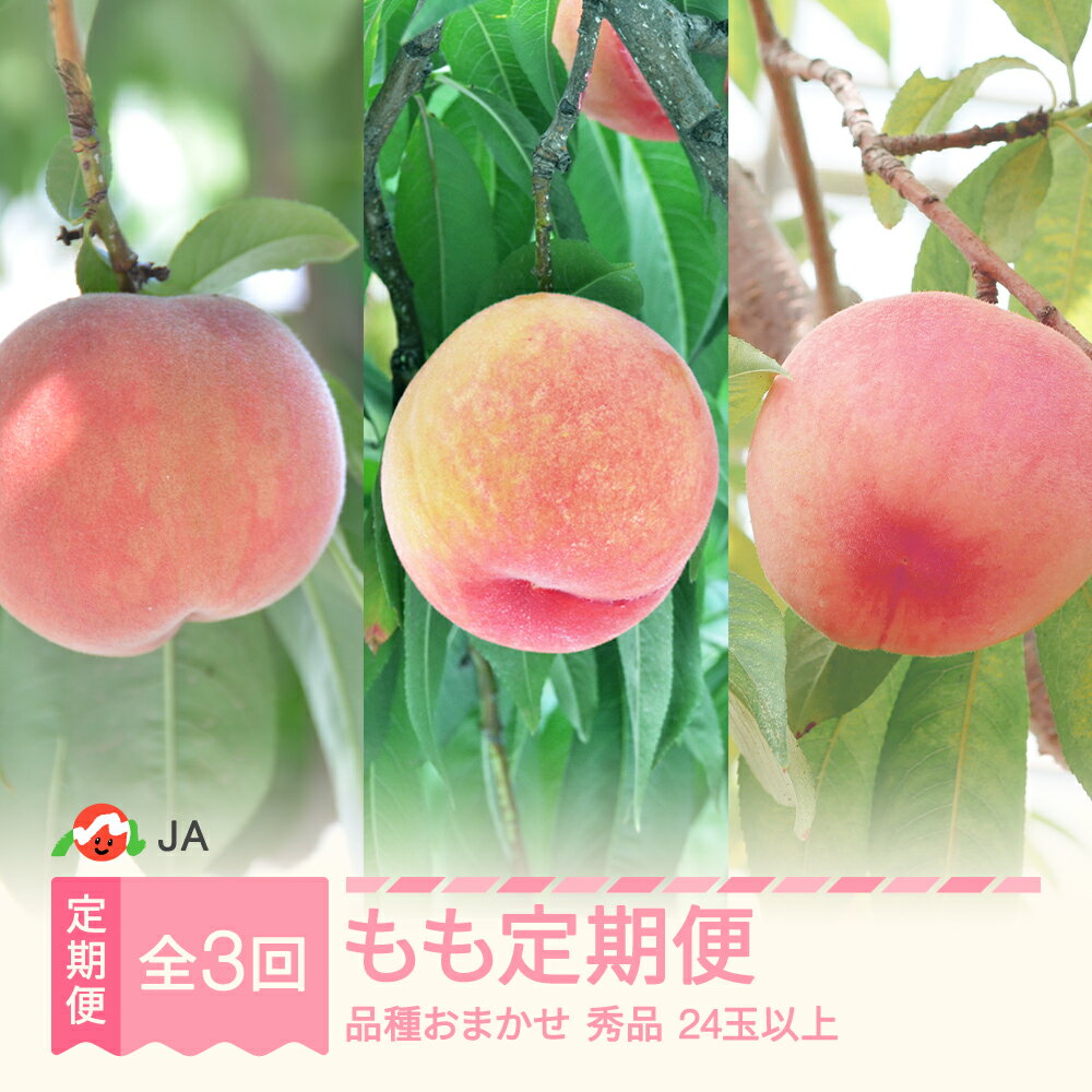 全3回 山形もも食べ比べ 定期便 秀品 令和7年産 2025年産 白桃 モモ 果物 フルーツ 山形県産 送料無料 ※沖縄・離島への配送不可 ja-tkmox