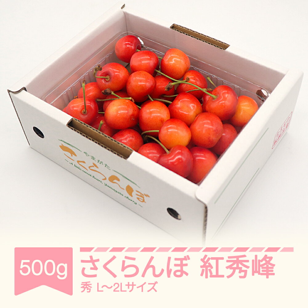 さくらんぼ 紅秀峰 秀品 L-2L玉 500g×1パック バラ詰 2024年産 令和6年産 山形県 送料無料