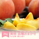 【ふるさと納税】先行予約 黄桃 もも 品種おまかせ 約2kg 2025年産 山形県産 令和7年産 送料無料※沖縄・離島への配送不可(4)