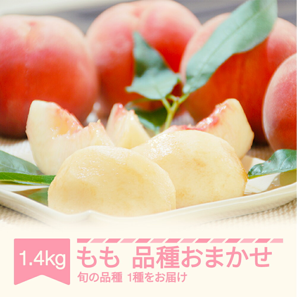 もも 桃 品種おまかせ 約1.4kg 2024年産 山形県産 令和6年産 送料無料※沖縄・離島への配送不可