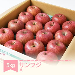 【ふるさと納税】りんご サンふじ 約5kg 秀品 リンゴ 令和6年産 2024年産 果物 フルーツ 山形県産 送料無料 mm-risfs5※沖縄・離島への配送不可