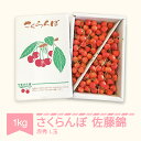 【ふるさと納税】 さくらんぼ 佐藤錦 赤秀 L玉 1kg バ