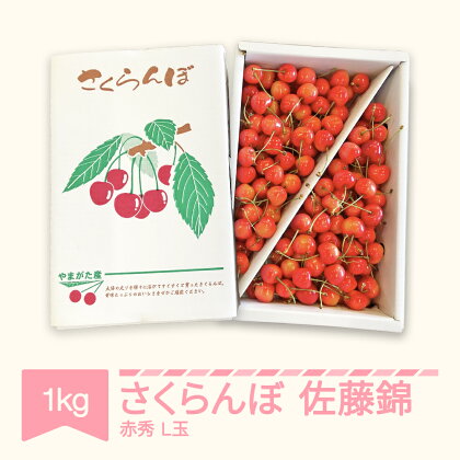 さくらんぼ 佐藤錦 赤秀 L玉 1kg バラ詰 ご家庭用 2024年産 令和六年産 山形県産