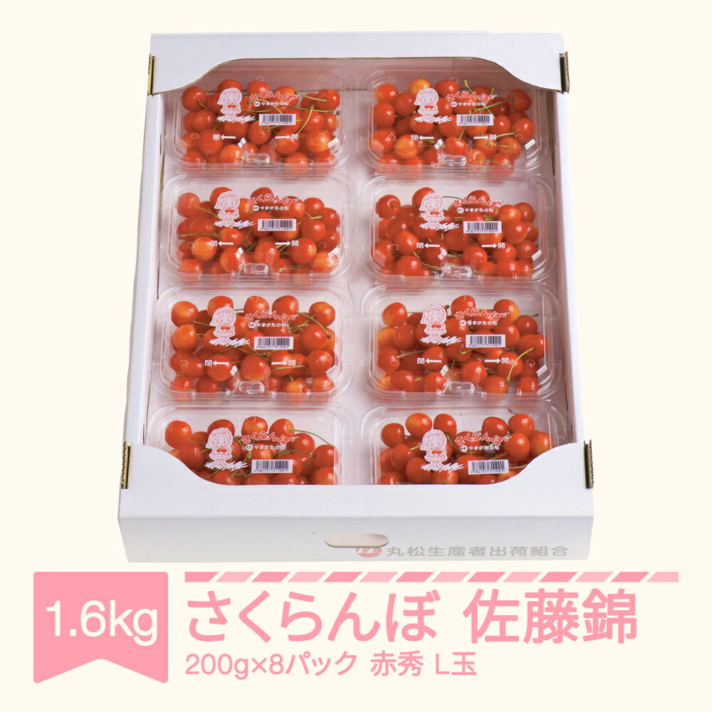 【ふるさと納税】 さくらんぼ 佐藤錦 赤秀品 L玉 200g×8パック 2024年産 令和六年産 山形県産