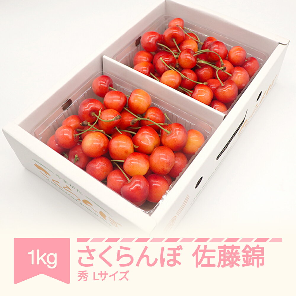 【ふるさと納税】 さくらんぼ 佐藤錦 秀品 500g×2パック 1kg L玉 バラ詰 2024年産 令和六年産 山形県産 送料無料