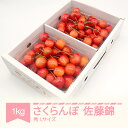 【ふるさと納税】【先行予約】 さくらんぼ 佐藤錦 秀品 500g×2パック 1kg L玉 バラ詰 2026年産 令和8年産 山形県産 送料無料