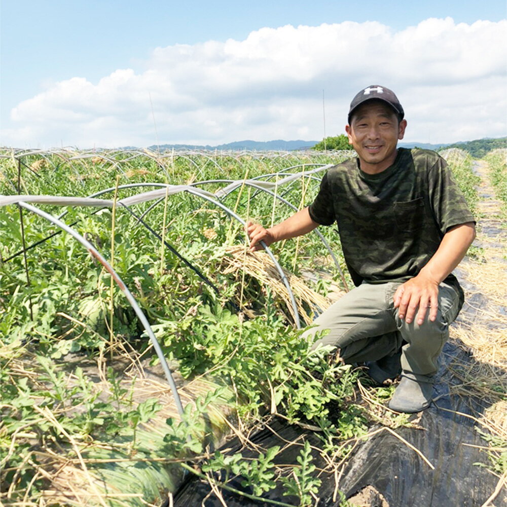 【ふるさと納税】すいか 金色羅皇 1玉入り 6~9kg 2024年産 令和六年産 山形県産 送料無料 ※沖縄・離島への配送不可