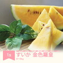 【ふるさと納税】【先行予約】 すいか 金色羅皇 1玉入り 6~9kg 2026年産 令和8年産 山形県産 送料無料 ※沖縄・離島への配送不可