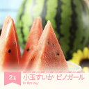 【ふるさと納税】【先行予約】 すいか ピノガール 小玉 2玉入り 計 約3.2kg 2026年産 令和8年産 山形県産 送料無料 ※沖縄・離島への配送不可