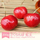 【ふるさと納税】【先行予約】さくらんぼ やまがた紅王 3L以上 秀品以上 200g 100g×2パック 2026年産 令和8年産 山形県産 送料無料 ※沖縄・離島への配送不可 mm-yb3ld200
