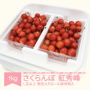 【ふるさと納税】【先行予約】 さくらんぼ 紅秀峰 2026年産 令和8年産 1kg詰 L玉以上 発泡スチロール梱包