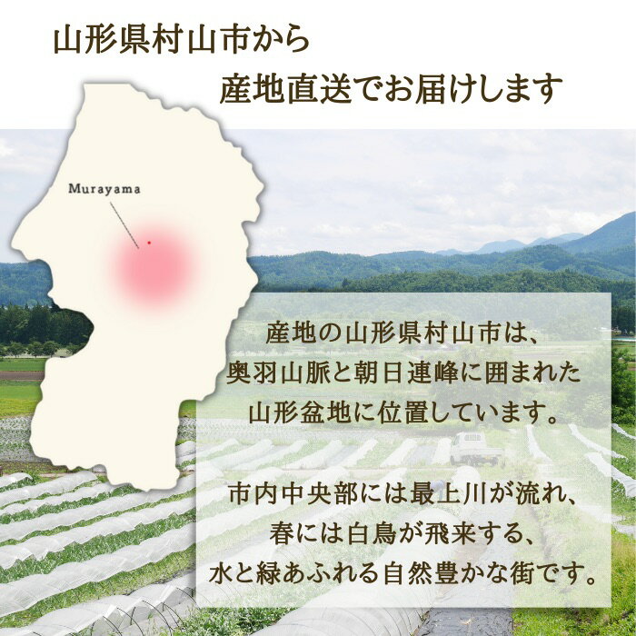 【ふるさと納税】すいか 2色の小玉すいか 2玉 令和6年産 2024年産 果物 送料無料 ※沖縄・離島への配送不可 3