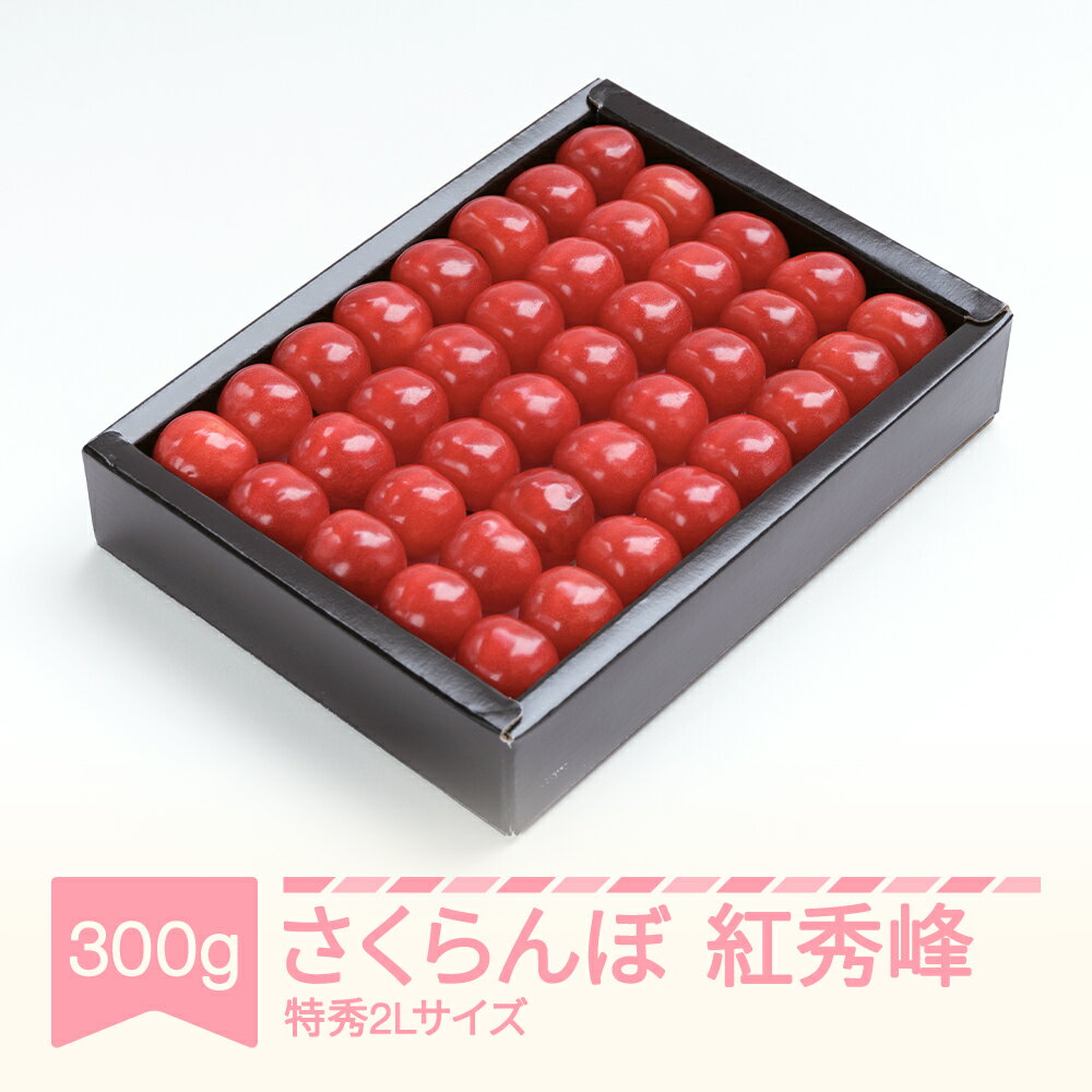 先行予約 さくらんぼ 紅秀峰 特秀2Lサイズ 300g 化粧箱鏡詰め 2024年産 令和6年産 山形県産 送料無料 サクランボ