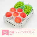 【ふるさと納税】【先行予約】 白桃 秀品&シャインマスカット 詰め合わせ 品種おまかせ 約3kg 令和7年産 2025年産 山形県産 果物 送料無料 ns-fs...