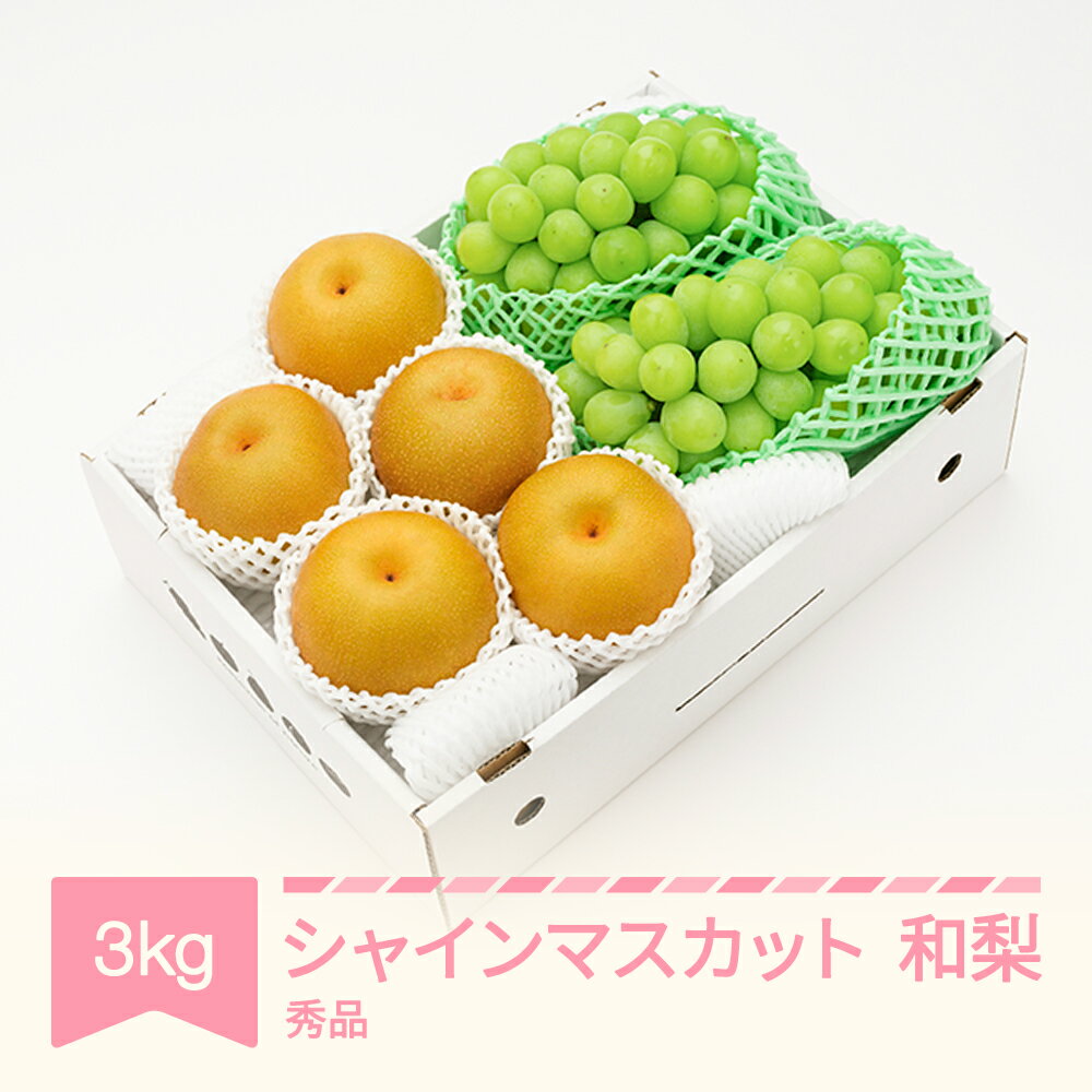 【ふるさと納税】ぶどう なし シャインマスカット 秀品＆和梨 詰め合わせ 化粧箱入り 約3kg 令和6年産 2024年産 山形県産 果物 送料無料 ns-fssnx3※沖縄・離島への配送不可のサムネイル