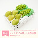 商品画像2