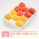 【ふるさと納税】【先行予約】 もも 白桃&有袋黄桃 秀品 品種おまかせ 化粧箱入り 約3kg 令和8年産 2026年産 山形県産 果物 送料無料 ns-mohot3※沖縄・離島への配送不可