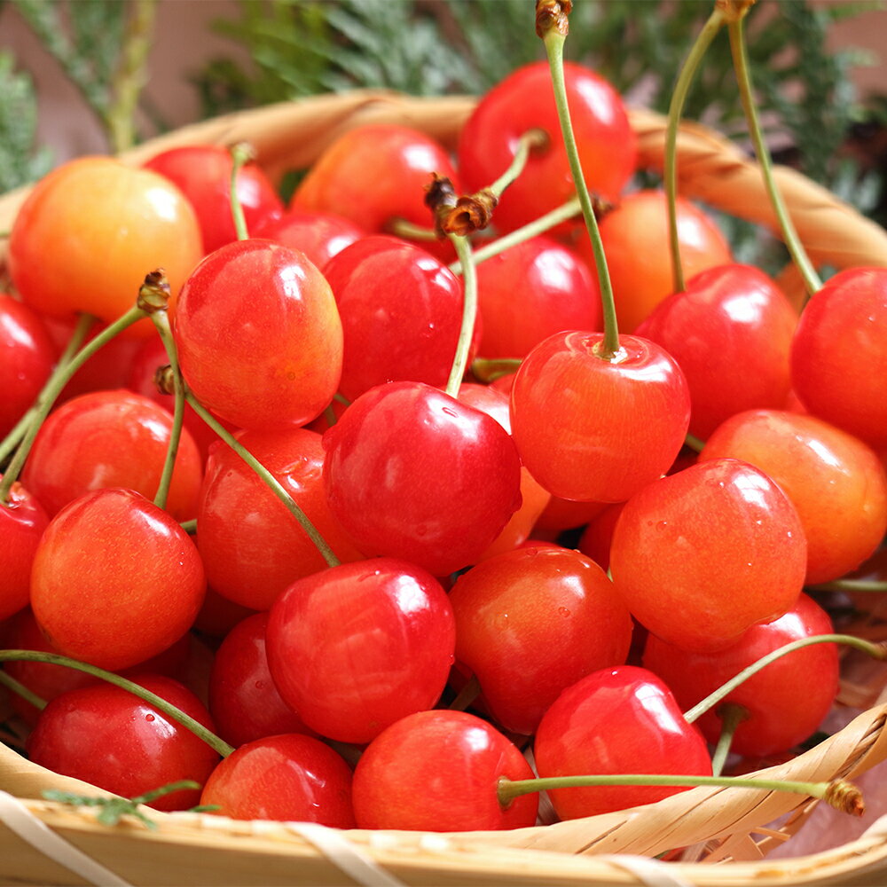 アイテムID:667918の画像2枚目