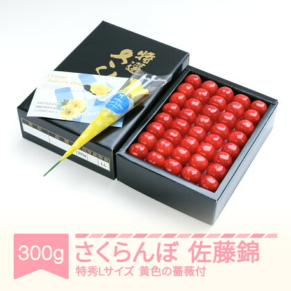 先行予約 父の日 さくらんぼ 佐藤錦 特秀Lサイズ 黄色の薔薇付 プレゼント ギフト 化粧箱鏡詰め 300g 2024年産 令和6年産 山形県産 送料無料 サクランボ