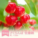 【ふるさと納税】先行予約 さくらんぼ 佐藤錦 秀Lサイズ バラ詰め 500g 2025年産 令和7年産 山形県産 果物 サクランボ ns-snslb500 送料...