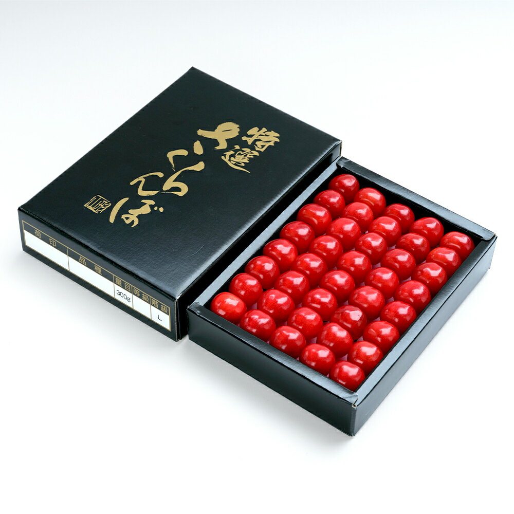 【ふるさと納税】【先行予約】 加温さくらんぼ 佐藤錦 特秀Lサイズ プレゼント ギフト 化粧箱鏡詰め 300g 2026年産 令和8年産 山形県産 送料無料 サクランボ ※沖縄・離島への配送不可 ns-sntlx300