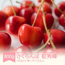 【ふるさと納税】 先行予約 2025年産 さくらんぼ 紅秀峰 800g (200g×4) 秀 Lサイズ以上 山形県産 フルーツ 果物 くだもの サクランボ sb...