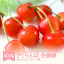 【ふるさと納税】 先行予約 2025年産 さくらんぼ 佐藤錦 500g L スリーブ箱 山形県産 フルーツ 果物 くだもの サクランボ sb-snslx500 ...