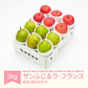 【ふるさと納税】【先行予約】 サンふじ & ラ・フランス 3kg 令和7年産 2025年産 山形県産 りんご 林檎 ラフランス 洋梨 果物 送料無料 ns-fsrlx3 ※沖縄・離島への配送不可